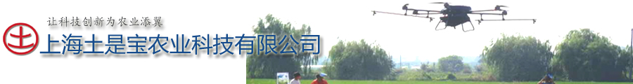 公司名称