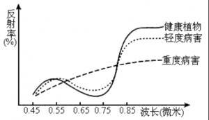 【Yusense Map+】典型应用1：基于多光谱遥感的常用植被指数计算 ...