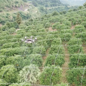 最强植保神器！常锋无人机携碾压级优势杀入果树飞防